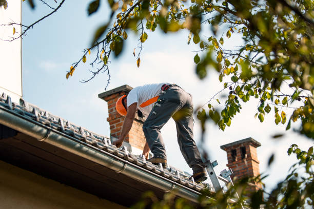 Best Storm Damage Roof Repair  in Avery Creek, NC