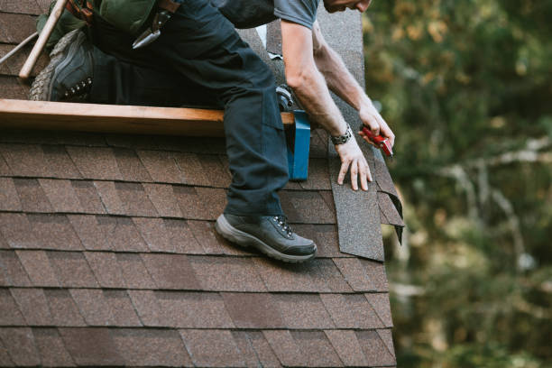 Best Roof Maintenance Services  in Avery Creek, NC